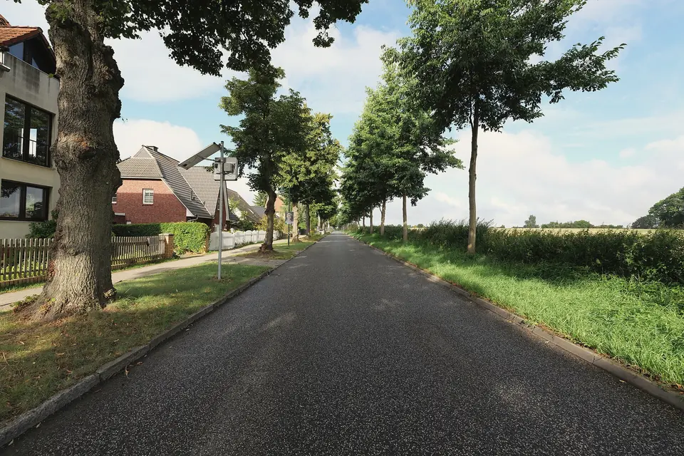 Die Robert-Koch-Straße in Zepernick mit Bäumen am Straßenrand, links Einfamilienhäuser, rechts eine Wiese