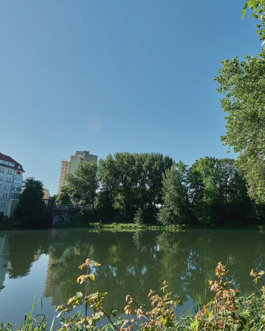 Der Lietzensee in Charlottenburg an einem Morgen im Juni