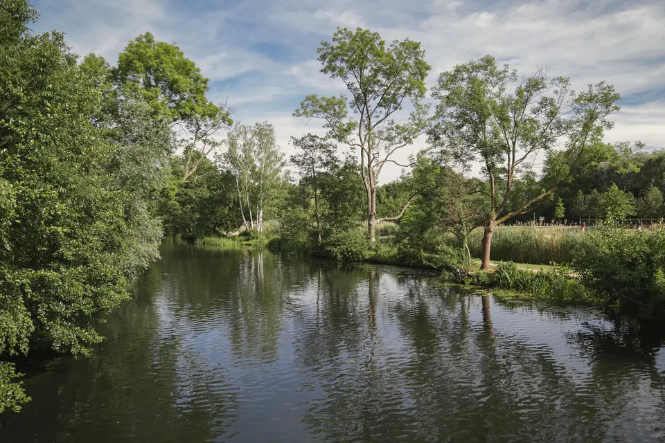 Wasserlauf mit Bäumen am Ufer in Lübben (Spreewald) im Sommer
