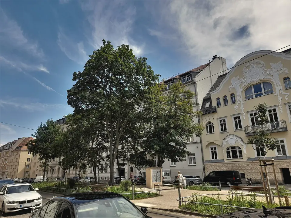 Mehrgeschossige Wohnhäuser am Gohliser Anger, vorn ein Eckhaus mit heller, verzierter Fassade, Erkern und geschwungenem Giebel, davor ein großer Laubbaum, Grünfläche und parkende Autos, blauer Himmel mit Schleierwolken
