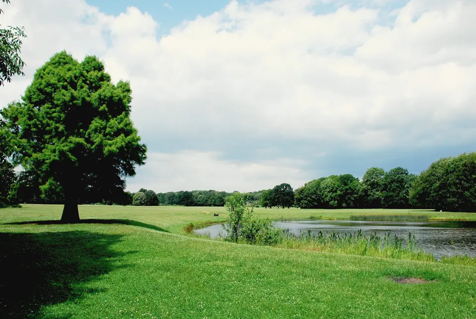 Weite Wiese im Rosental mit einem großen Laubbaum links, einem kleinen Teich mit Schilf und einem Waldrand unter Haufenwolken
