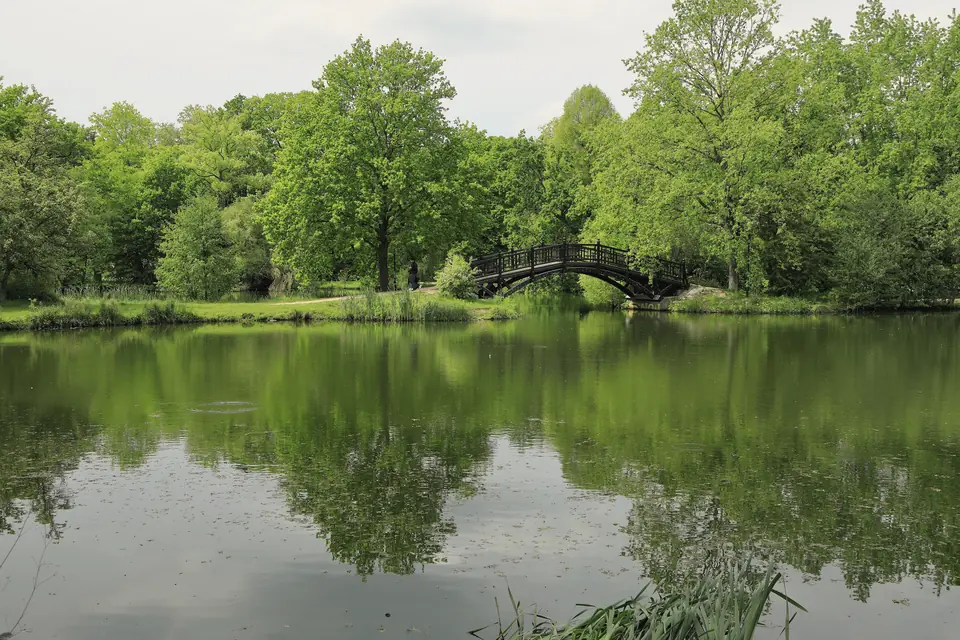 Teich im Johannapark mit glatter Wasserfläche, in der sich die Bäume spiegeln, hinten eine geschwungene Holzbrücke vor dichtem Laub, Himmel mit hellen Wolken