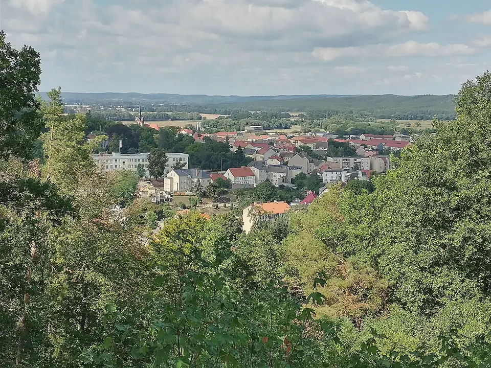 Blick über Baumkronen auf die roten Dächer von Bad Freienwalde, dahinter flaches Land und bewaldete Höhenzüge am Horizont, Himmel mit Wolken