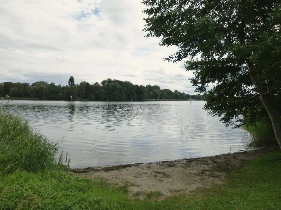 Sandiges Ufer des Lehnitzsees mit Bäumen und Schilf