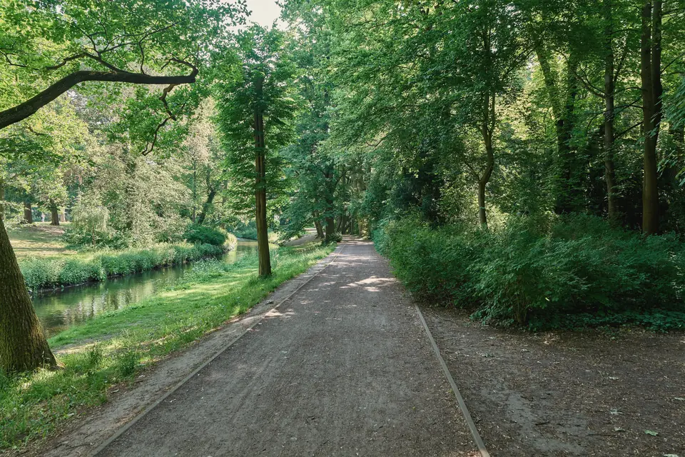 Weg im Bürgerpark Pankow unter hohen Laubbäumen, links die Panke zwischen grünen Ufern