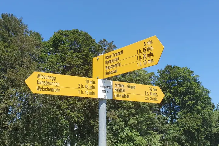 Gelber Wanderwegweiser mit Schildern in drei Richtungen vor Laubbäumen und blauem Himmel